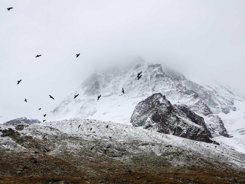 sudoku for beginners screenshot 6